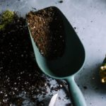 Potting Soil Mix for Vegetables