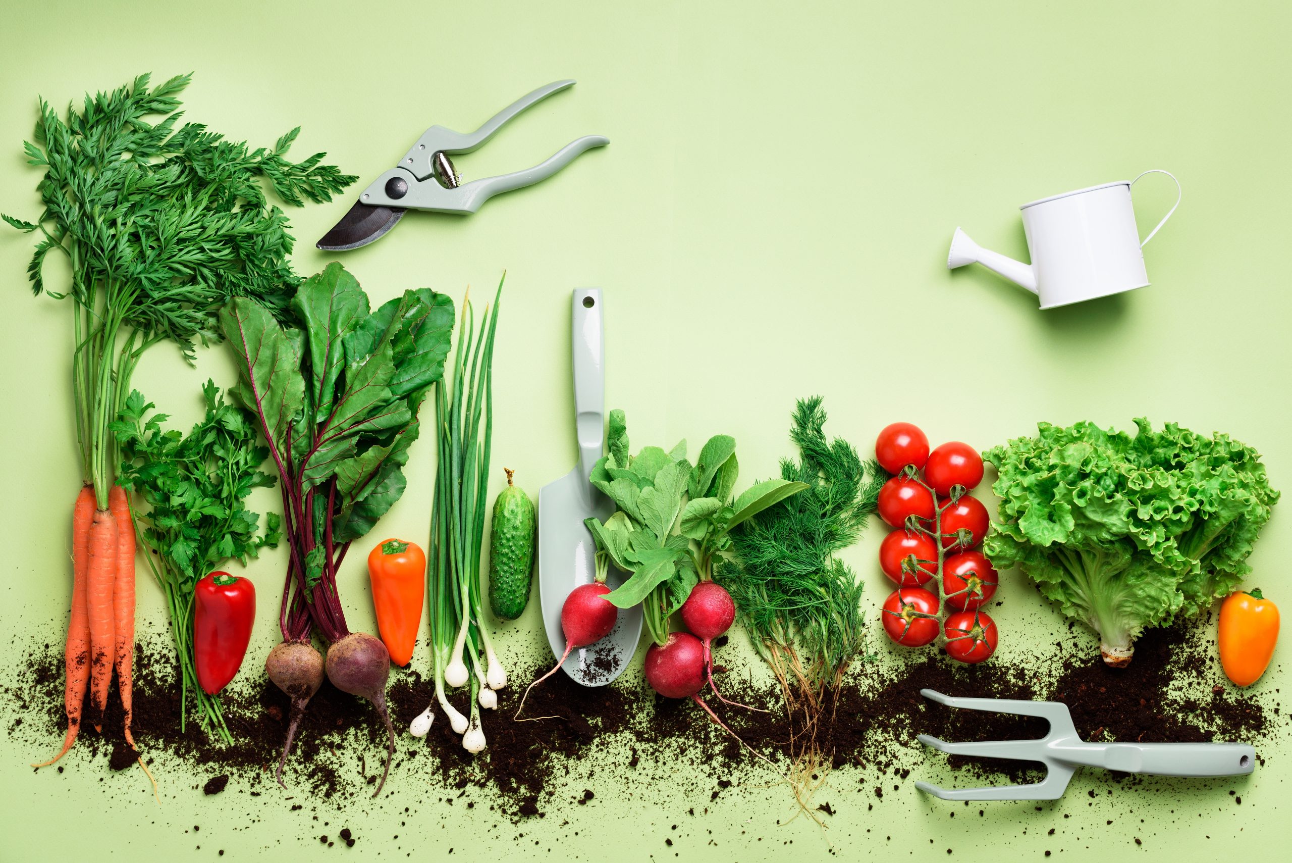 essay sustainable ways of growing food