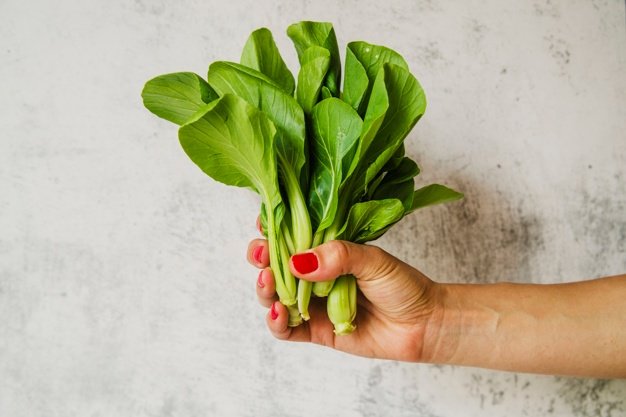 Woman holding chard vegetables
